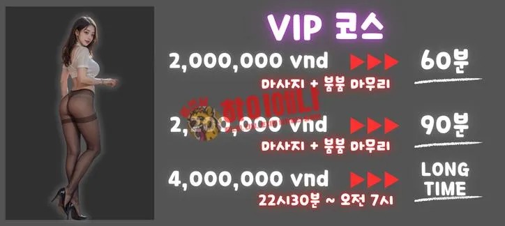 하노이 lovehome 출장 가격표