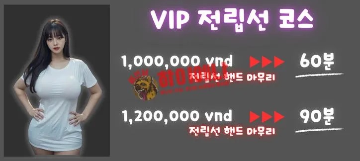 하노이 lovehome 출장 가격표