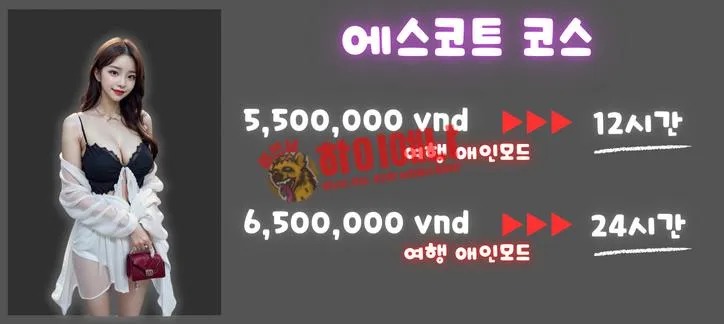 하노이 lovehome 출장 가격표